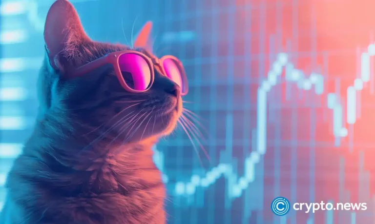 crypto news cat meme option02