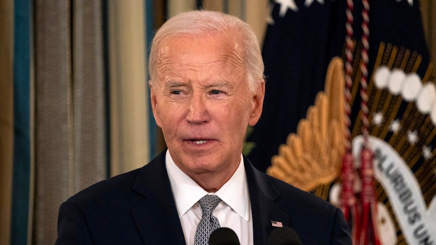 bidenjoe 010225gn03 w