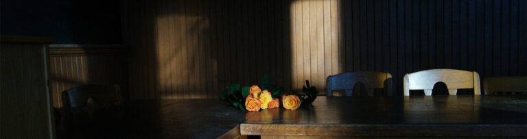 DRH banner 1280x339